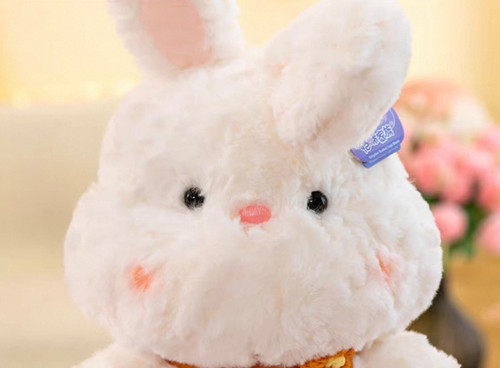 خرگوش پشمالو کیوت 25 سانت/وارداتی